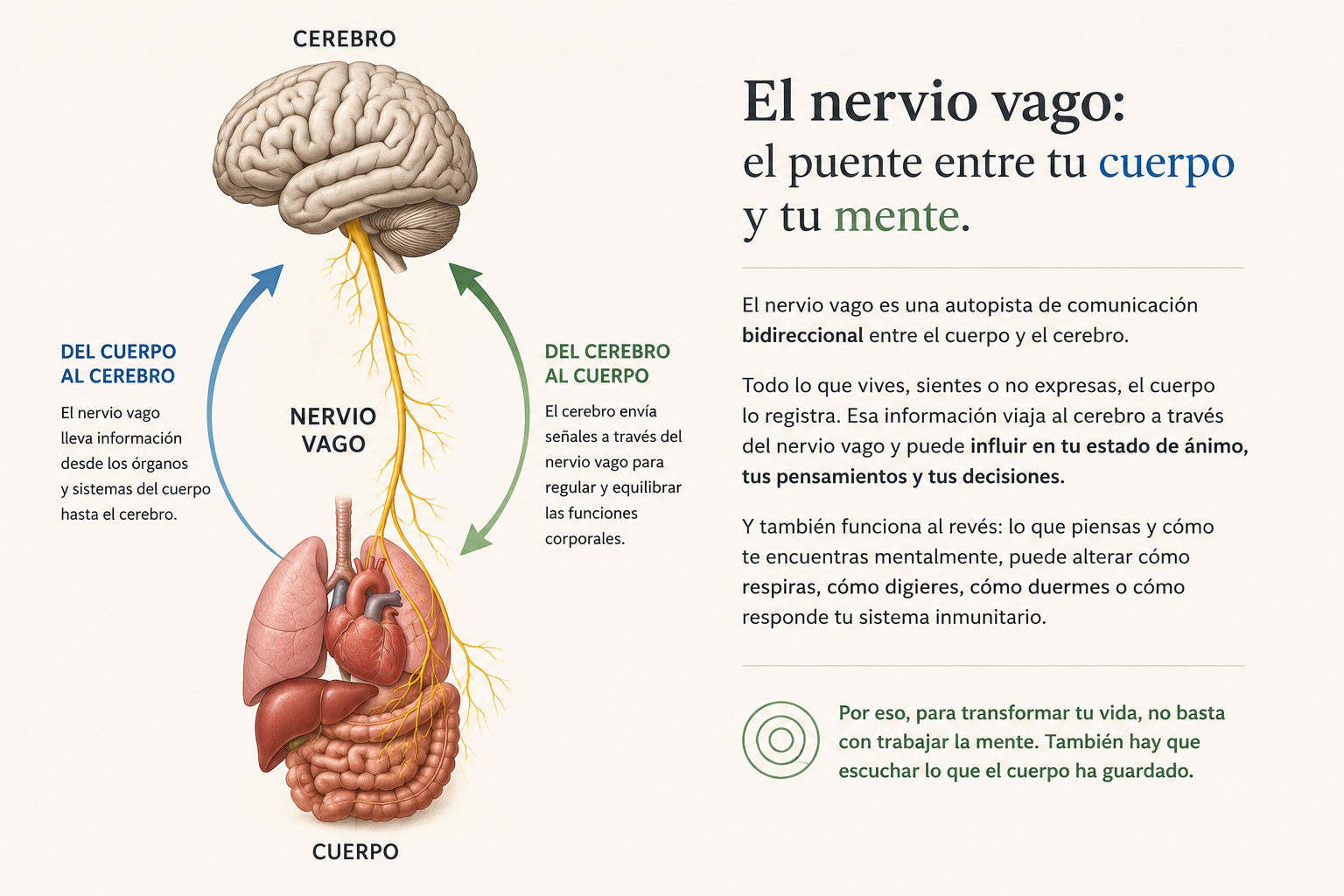 Memoria Somática
